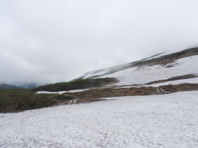 f0118332_10363097.jpg