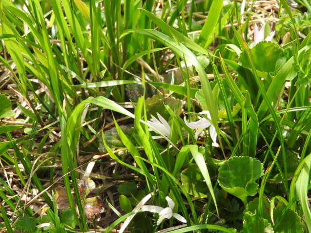 f0118332_23510075.jpg