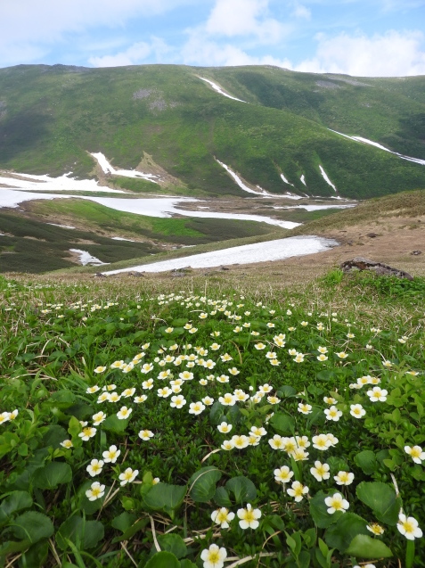 f0118332_23525716.jpg