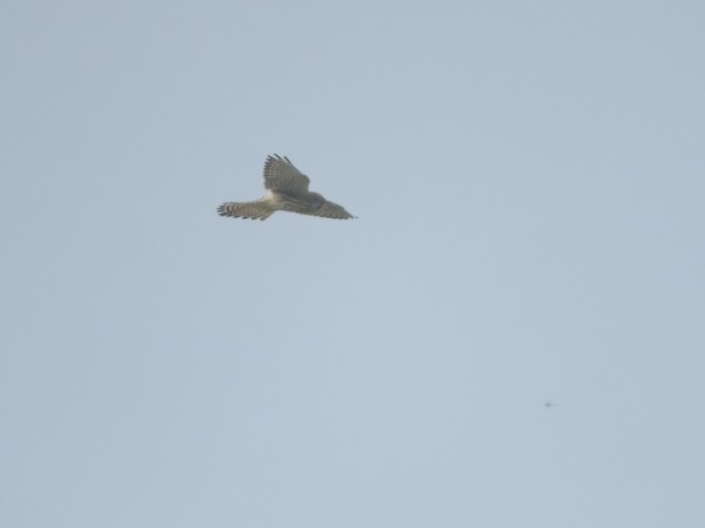 f0118332_23541096.jpg