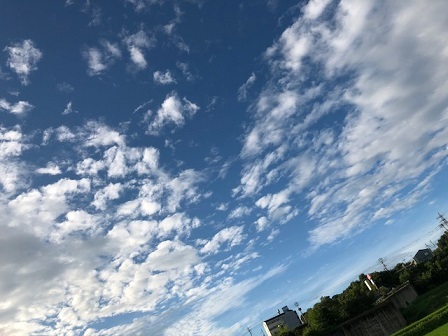 c0367433_10382420.jpeg