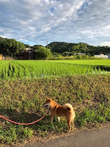 c0367433_12514780.jpeg