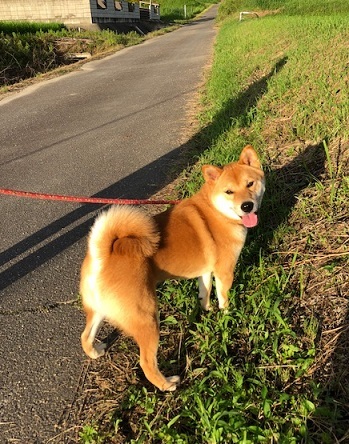 c0367433_13115661.jpeg