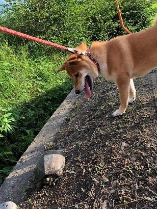 c0367433_13193350.jpeg