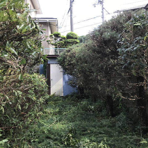 f0031037_21013182.jpg