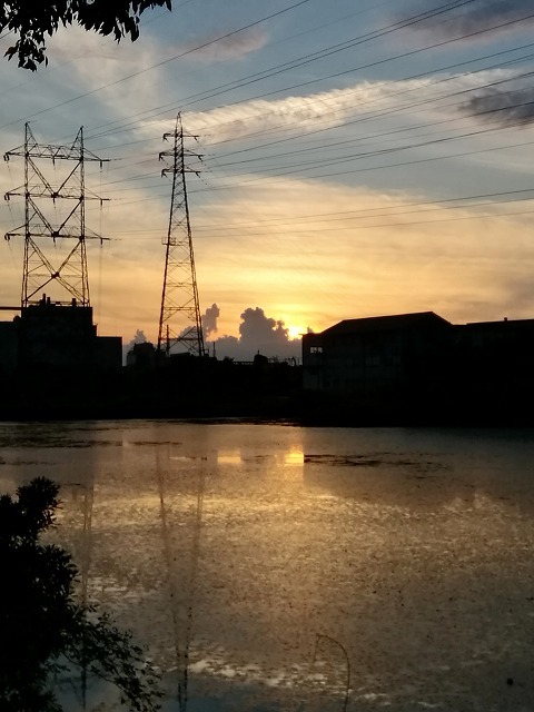 a0242438_20423155.jpg