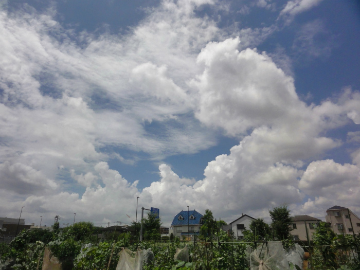 d0111439_14235638.jpg