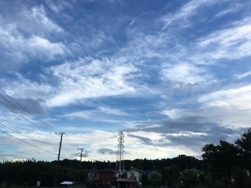 b0330040_21355250.jpeg