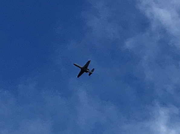 b0330040_21361454.jpeg