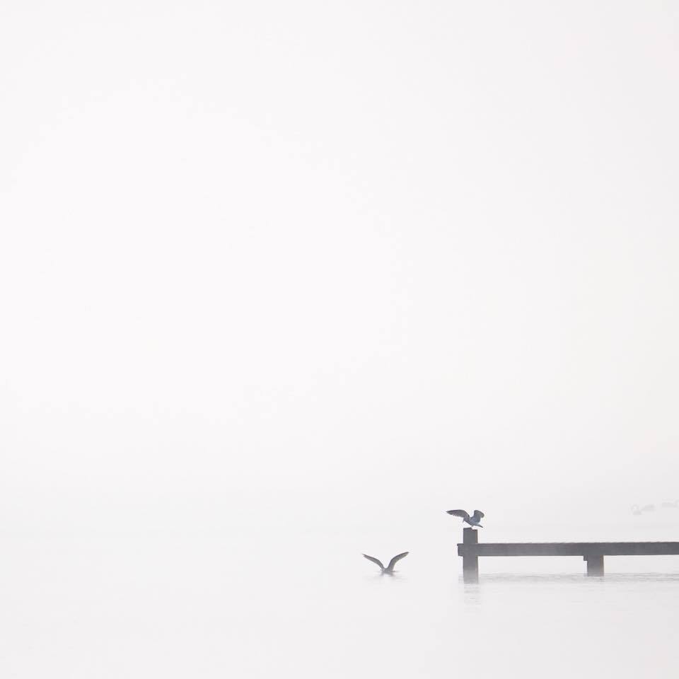 温泉湖から沸き立つ幻想的な朝霧。2年前にニュージーランド ロトルアで撮った写真_c0060143_22404340.jpg