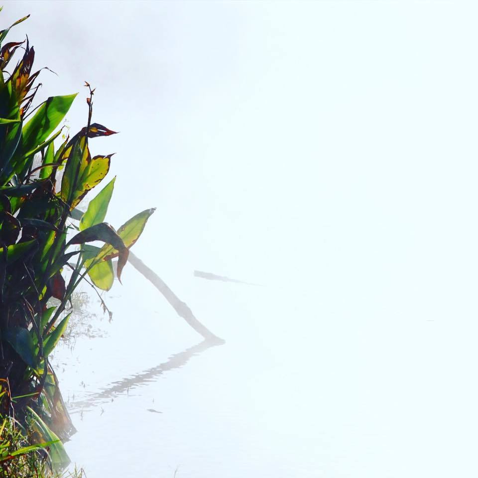 温泉湖から沸き立つ幻想的な朝霧。2年前にニュージーランド ロトルアで撮った写真_c0060143_22410390.jpg
