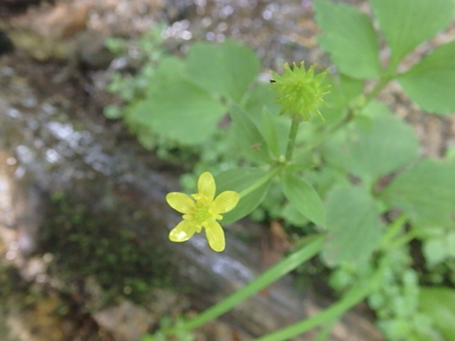 f0334143_7322829.jpg