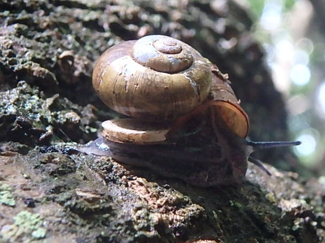 f0334143_7341037.jpg
