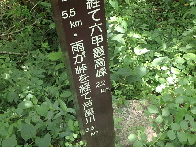 f0334143_7344037.jpg