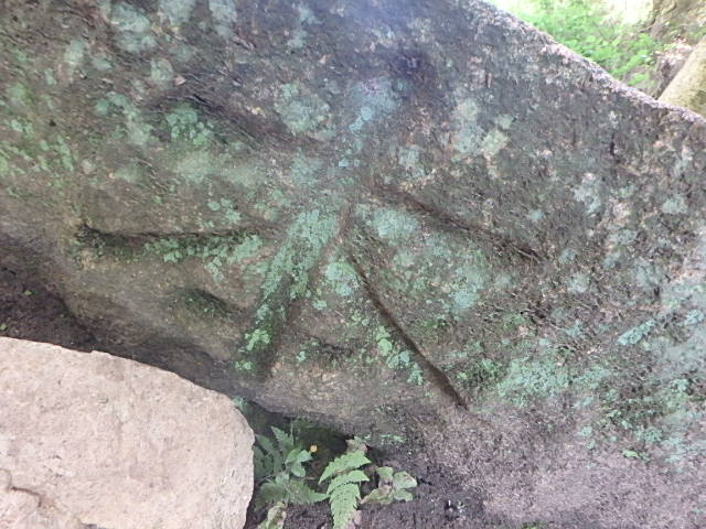 f0334143_7351110.jpg