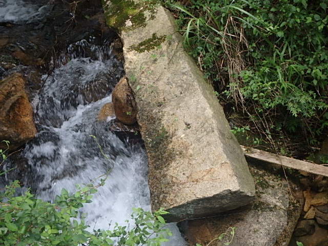 f0334143_7353755.jpg