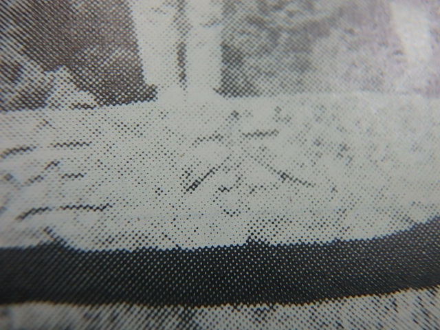 f0334143_736413.jpg