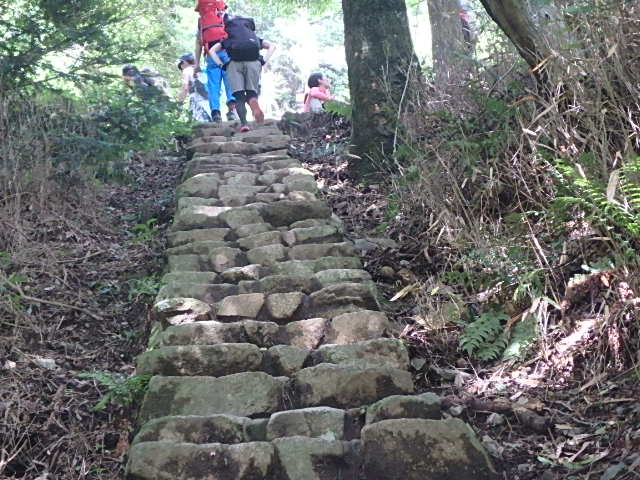 f0334143_7382297.jpg