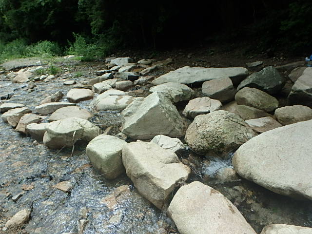 f0334143_7404545.jpg