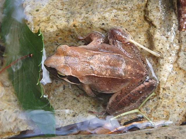 f0334143_742427.jpg