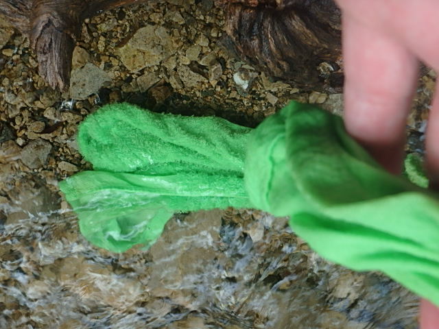f0334143_7425390.jpg