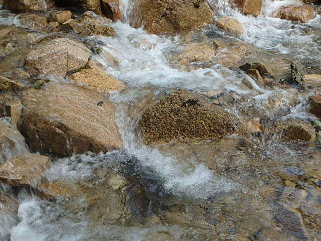 f0334143_7431496.jpg