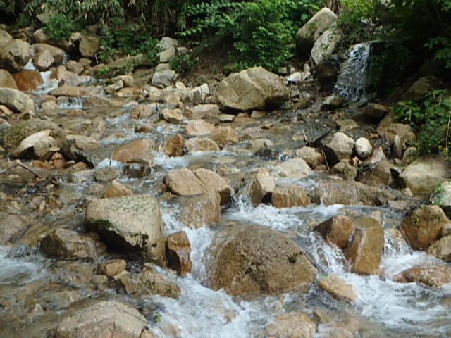 f0334143_743224.jpg