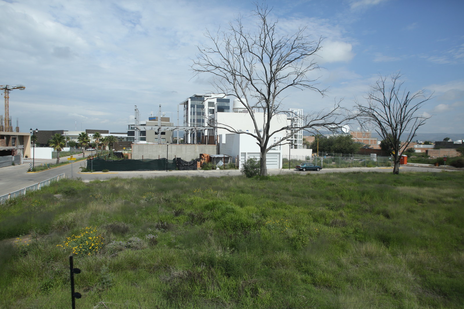 f0345350_02382342.jpg