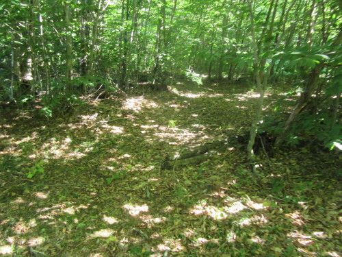 b0247153_23143806.jpg