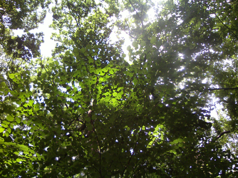 c0225153_20132948.jpg