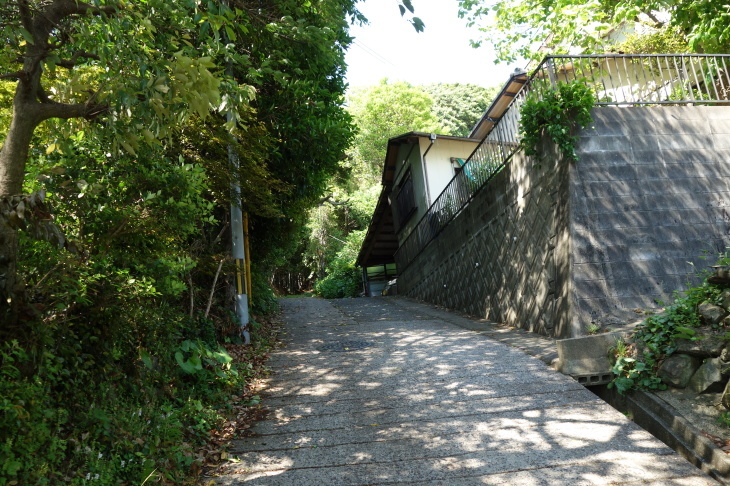 高塔山・石峯山・弥勒山・白山縦走②(北九州市若松区)_d0345153_21170016.jpg