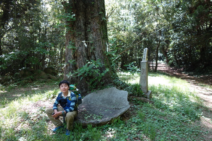 高塔山・石峯山・弥勒山・白山縦走②(北九州市若松区)_d0345153_21173025.jpg