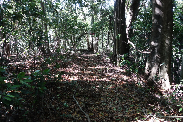 高塔山・石峯山・弥勒山・白山縦走②(北九州市若松区)_d0345153_21192542.jpg