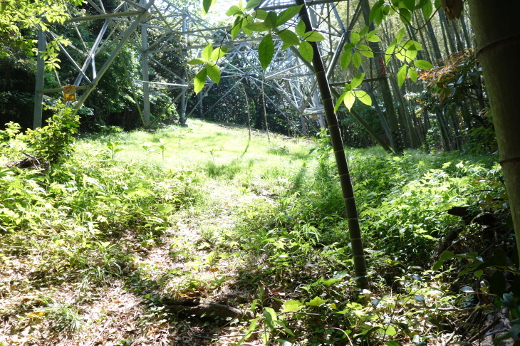 d0345153_21194335.jpg