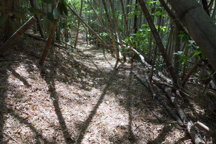 高塔山・石峯山・弥勒山・白山縦走②(北九州市若松区)_d0345153_21200396.jpg