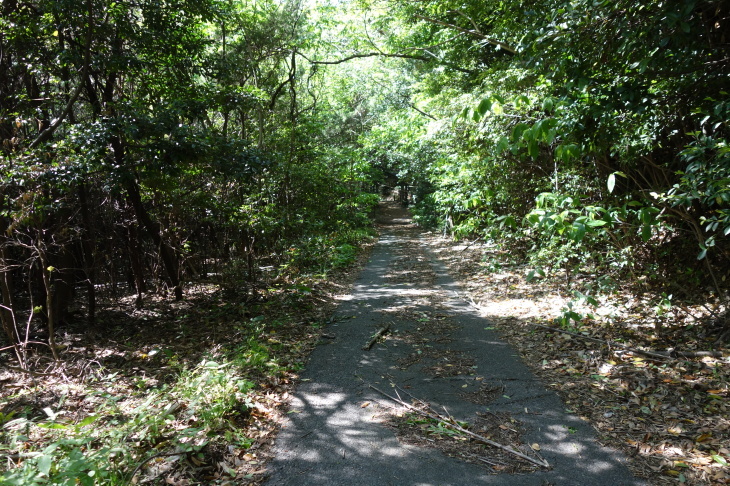 高塔山・石峯山・弥勒山・白山縦走②(北九州市若松区)_d0345153_21211971.jpg