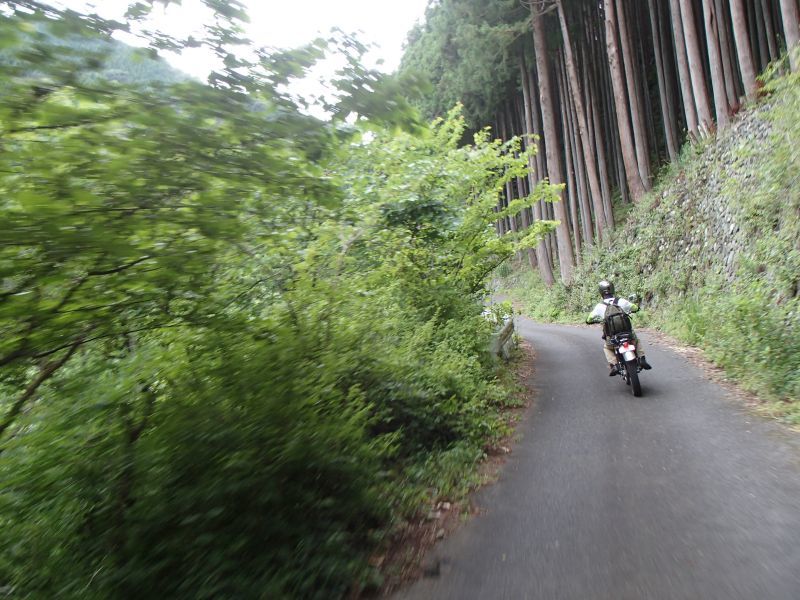 奥多摩の林道へ しっぽのトライアルあそび