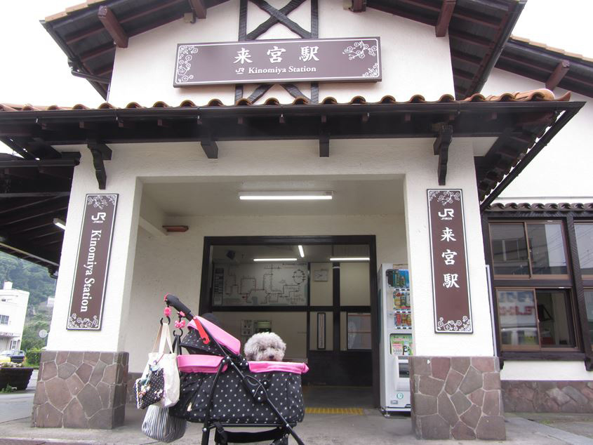 e0129656_23214859.jpg