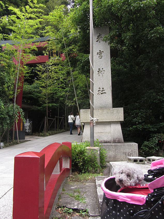 e0129656_23221538.jpg