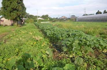 f0186462_02455881.jpg