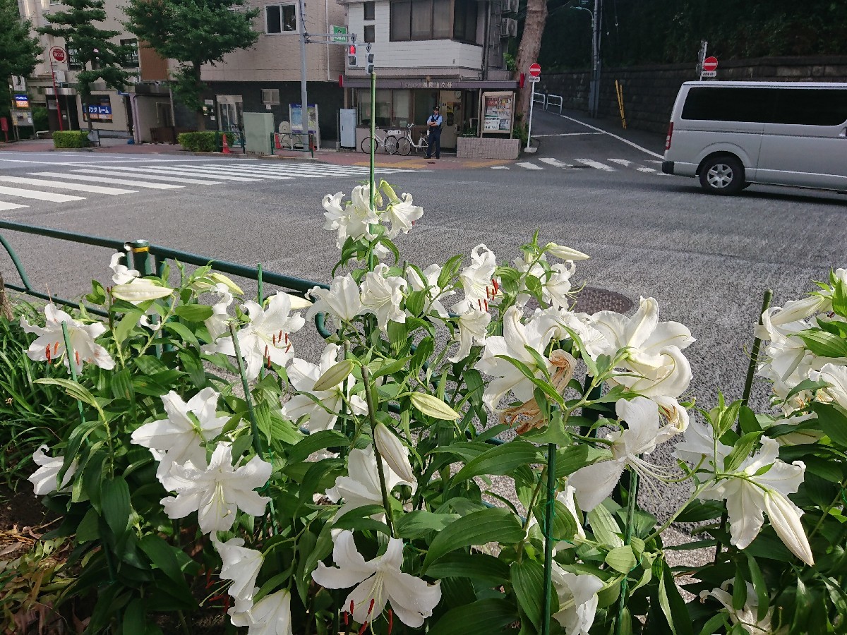 c0100865_05553264.jpg
