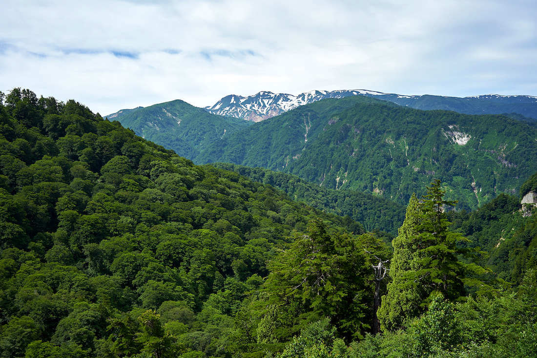 d0175768_22011217.jpg