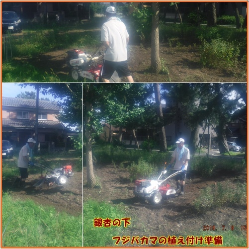 d0007071_10423163.jpg