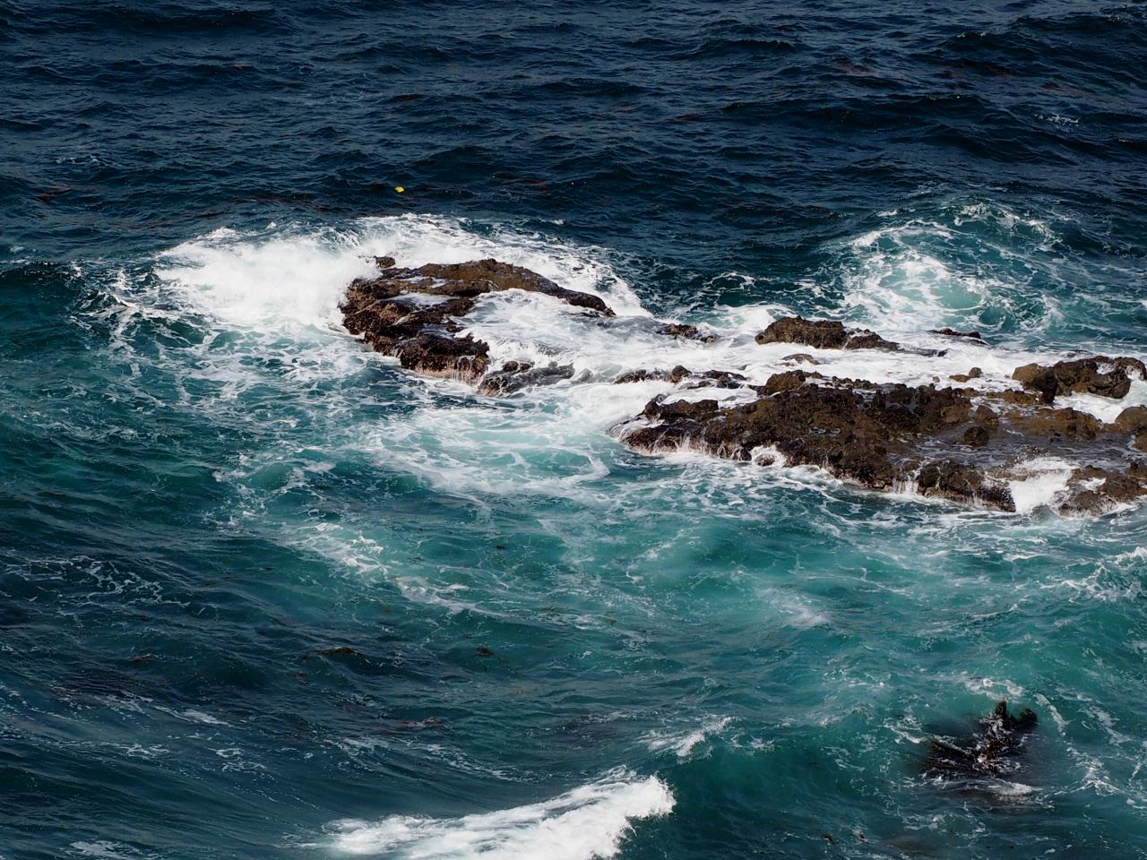 c0183777_8364246.jpg