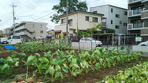 e0020682_2233151.jpg