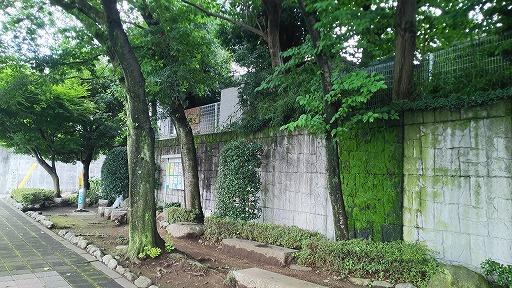 e0020682_22474261.jpg