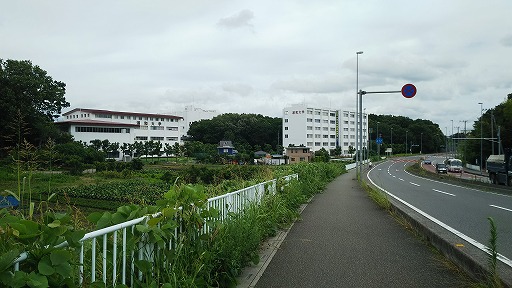 e0020682_2371732.jpg