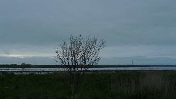 c0212083_14531449.jpg