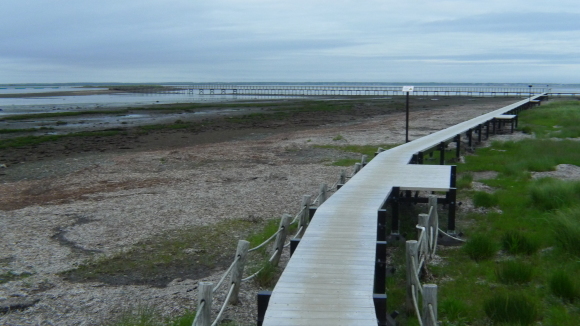 c0212083_14533369.jpg