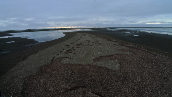 c0212083_14541416.jpg